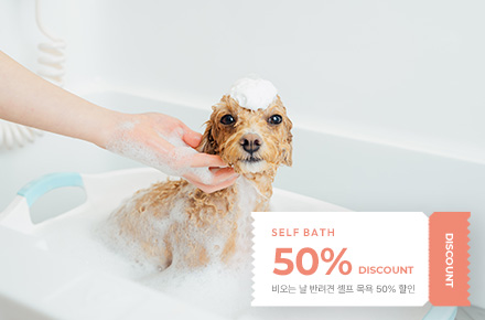 혜택이미지