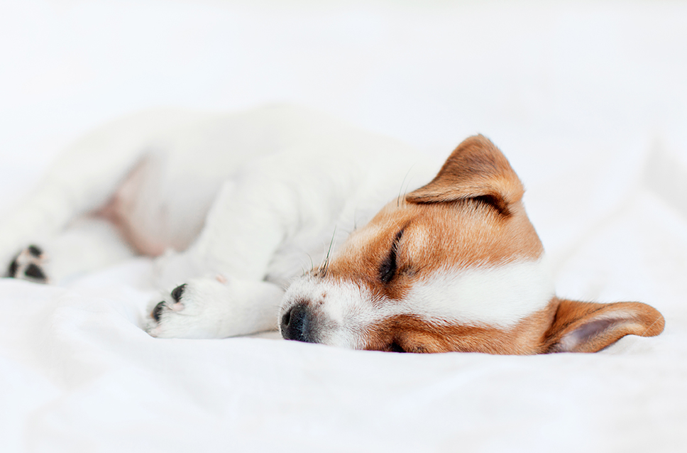 스페셜 오퍼 이미지