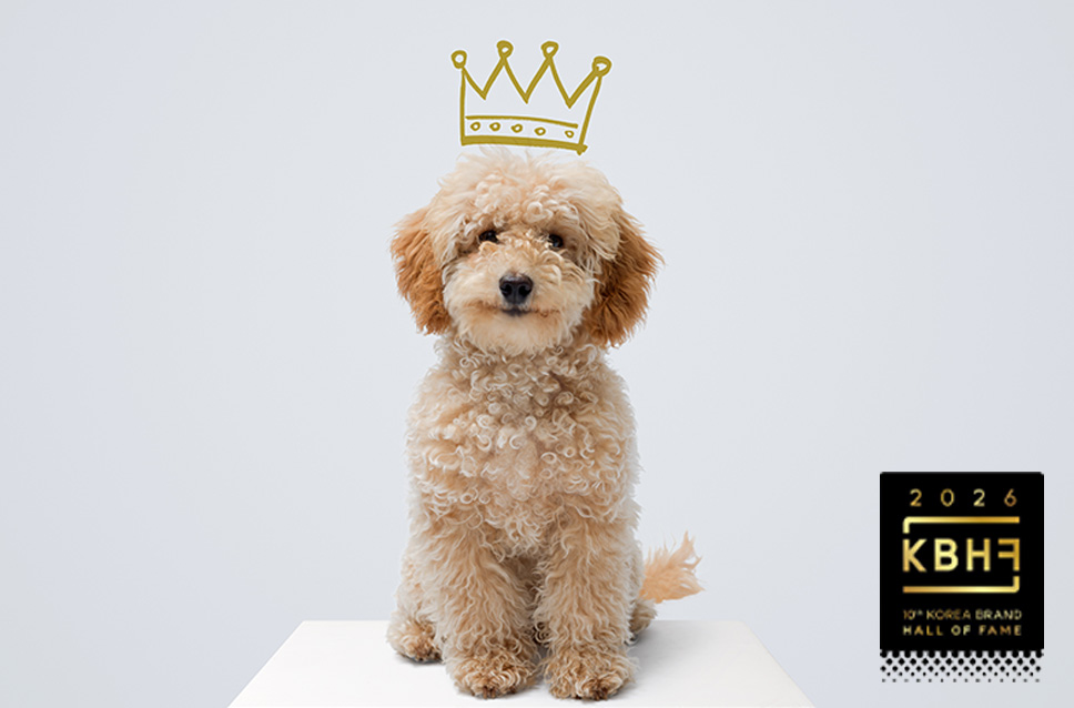 스페셜 오퍼 이미지