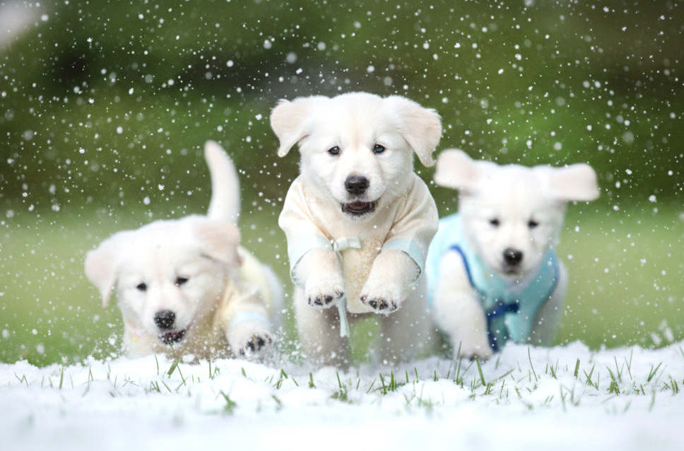 스페셜 오퍼 이미지