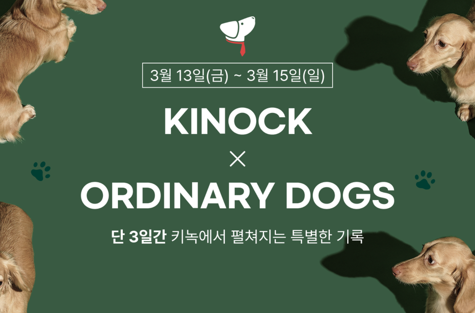 스페셜 오퍼 이미지